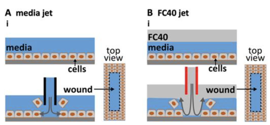 Biomicrofluidics 2021